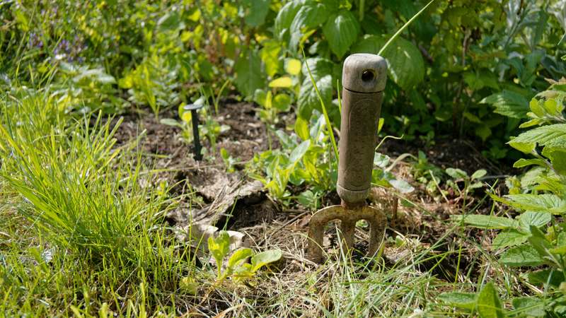 Close-up of a stainless steel garden hoe resting on rich, dark soil with fresh green plants in the background