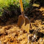 Garden Hoes for Weeding: 7 Proven Tips to Avoid Back Pain and Bare Spots