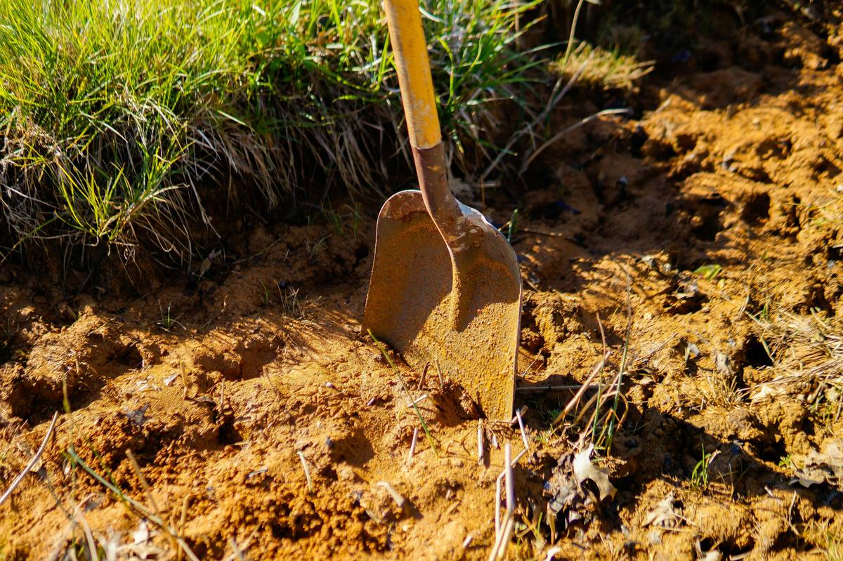 Garden Hoes for Weeding: 7 Proven Tips to Avoid Back Pain and Bare Spots